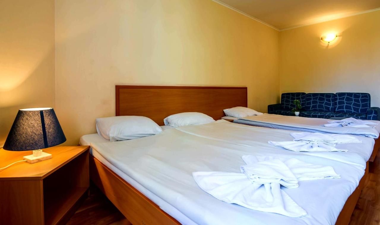 Отель Family Hotel Dalis София-20