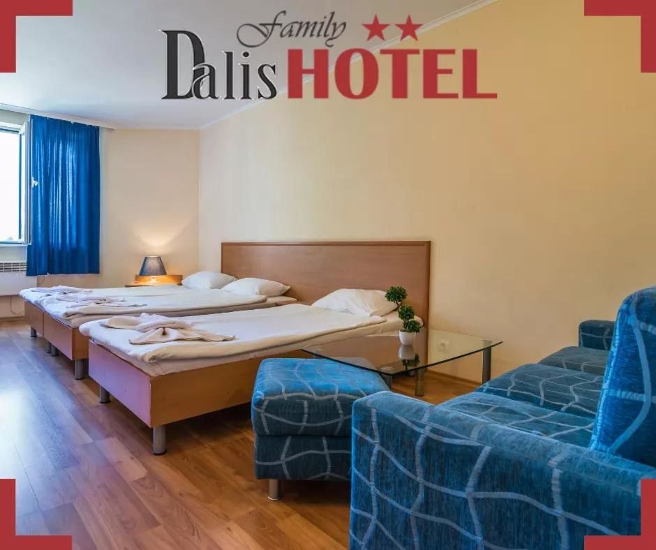 Отель Family Hotel Dalis София-23