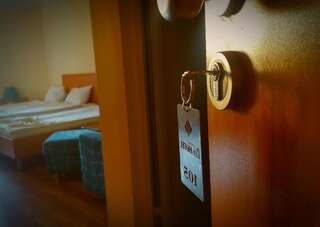 Отель Family Hotel Dalis София Двухместный номер Делюкс с 1 кроватью или 2 отдельными кроватями-6