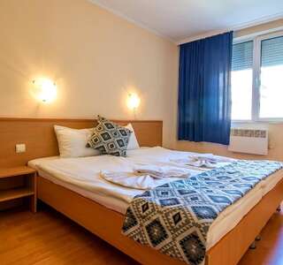 Отель Family Hotel Dalis София Стандартный двухместный номер с 1 кроватью или 2 отдельными кроватями (для 2 взрослых)-10