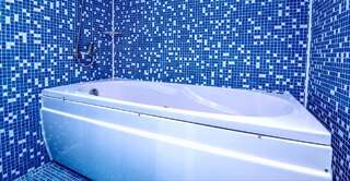 Отель Family Hotel Dalis София Двухместный номер Делюкс с 1 кроватью (для 2 взрослых)-3
