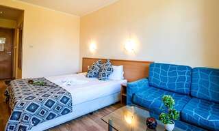 Отель Family Hotel Dalis София Двухместный номер Делюкс с 1 кроватью (для 2 взрослых)-4