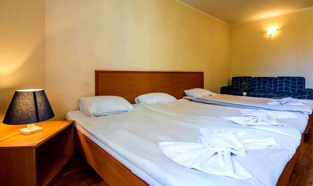 Отель Family Hotel Dalis София-19